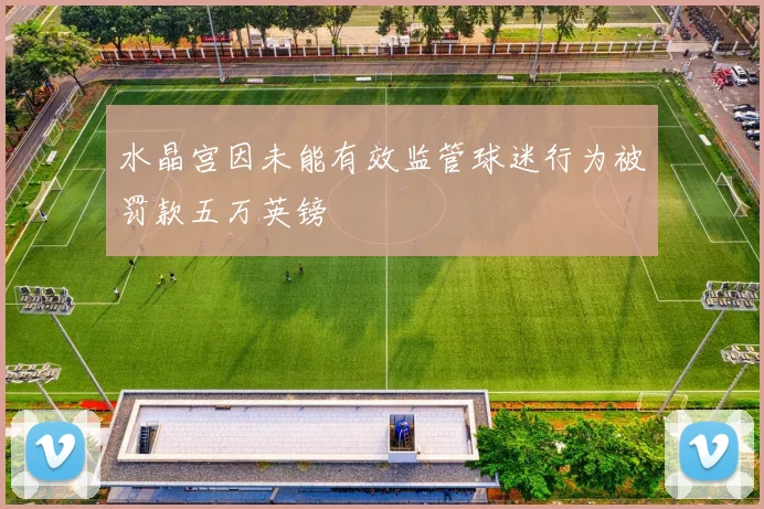 水晶宫因未能有效监管球迷行为被罚款五万英镑