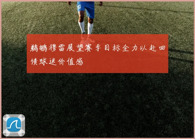 鹈鹕穆雷展望赛季目标全力以赴回馈球迷价值感